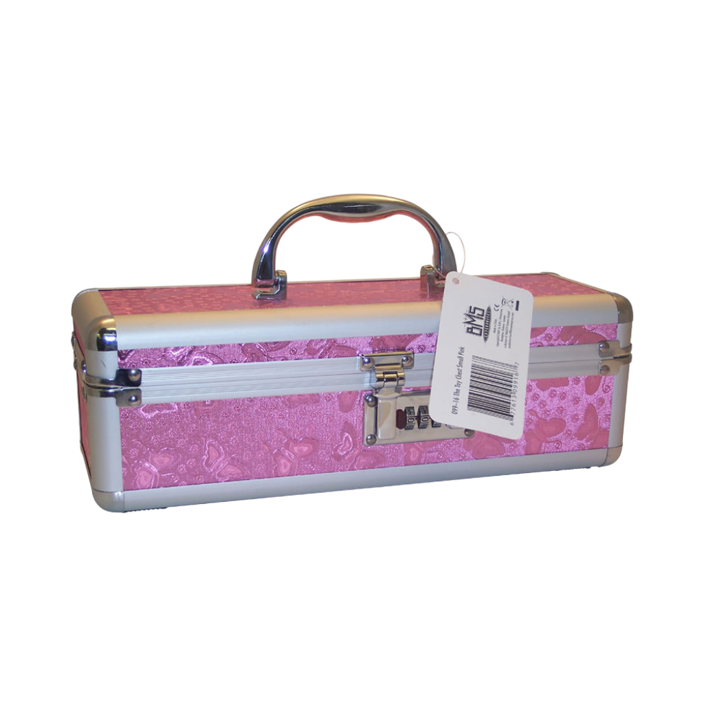 Lockable Vibrator Case - Small - Pink