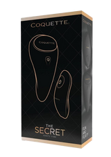 The Secret Panty Vibe Rechargeable Silicone Clitoral Vibrator